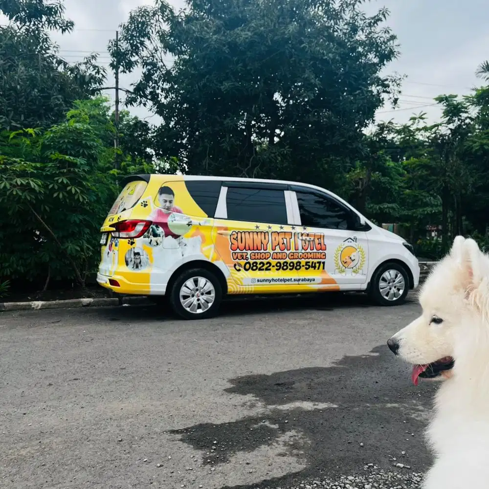 Open loker driver PET HOTEL surabaya
