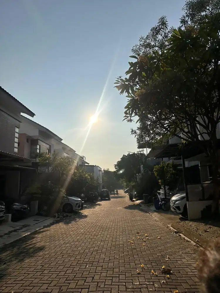 Dibutuhkan segera Art kelapa dua depok