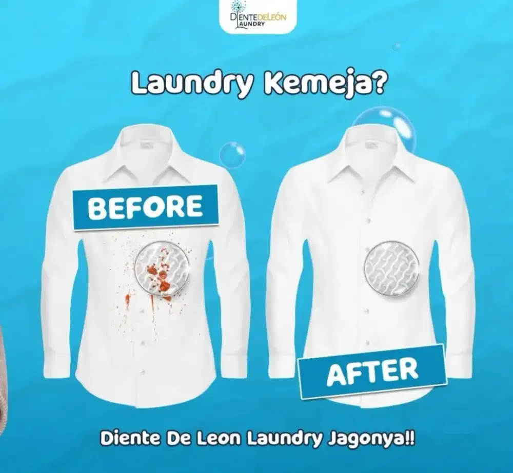 Diente De Leon Laundry