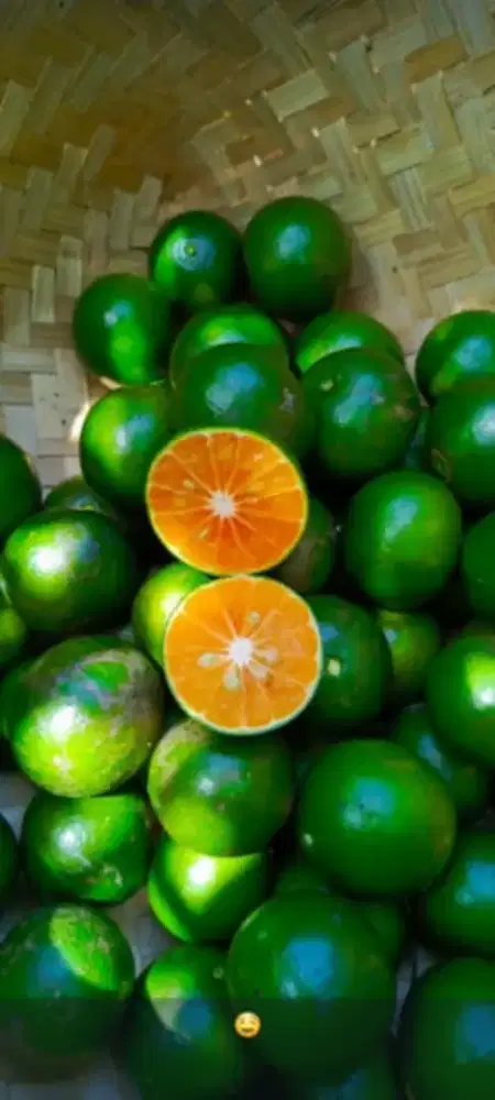 Cari tnaga gudang buah