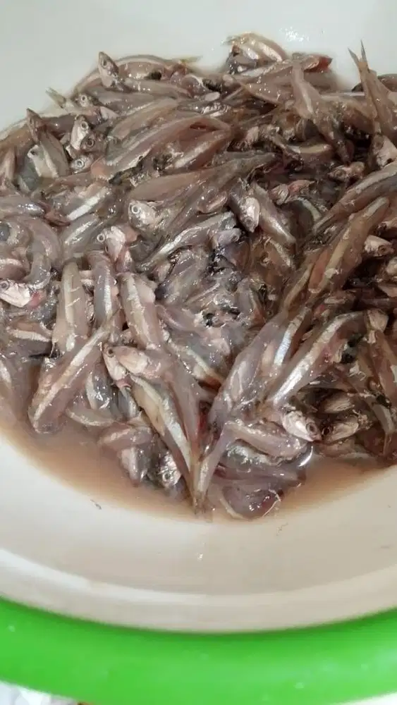 PRODUKSI & PACKING DAPUR NON HALAL WANITA sayang guguk kucing