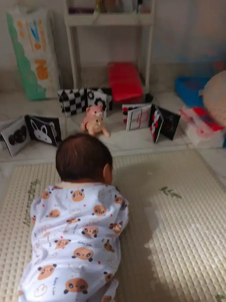 Membutuhkan Jasa Baby Sitter/pengasuh bayi