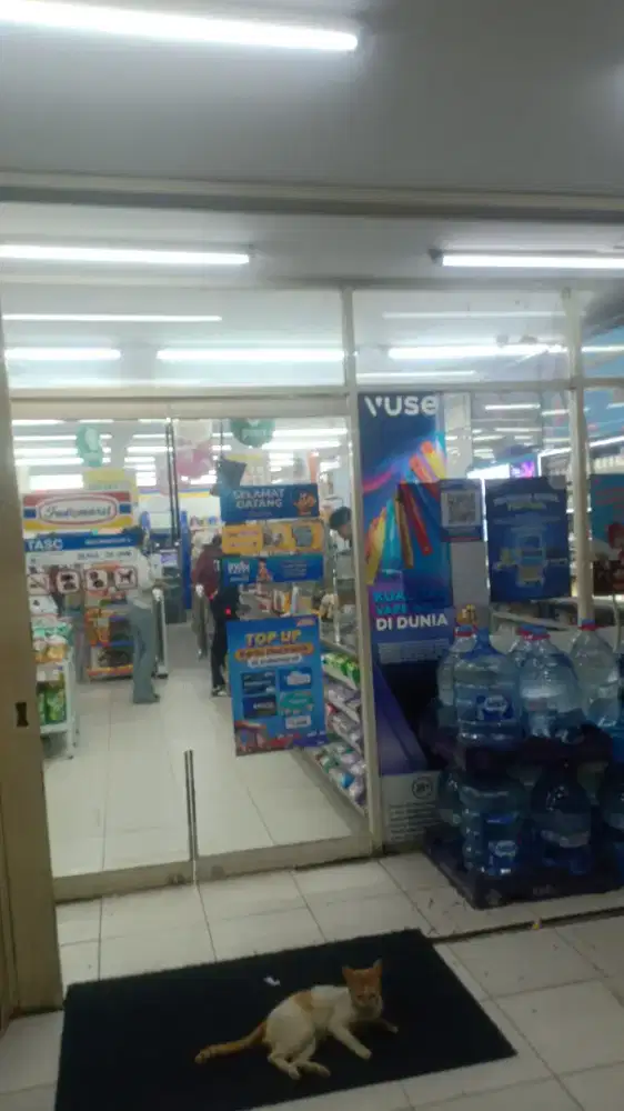 DI CARI ASSITEN PRIBADI KHUSUS PREMPUAN