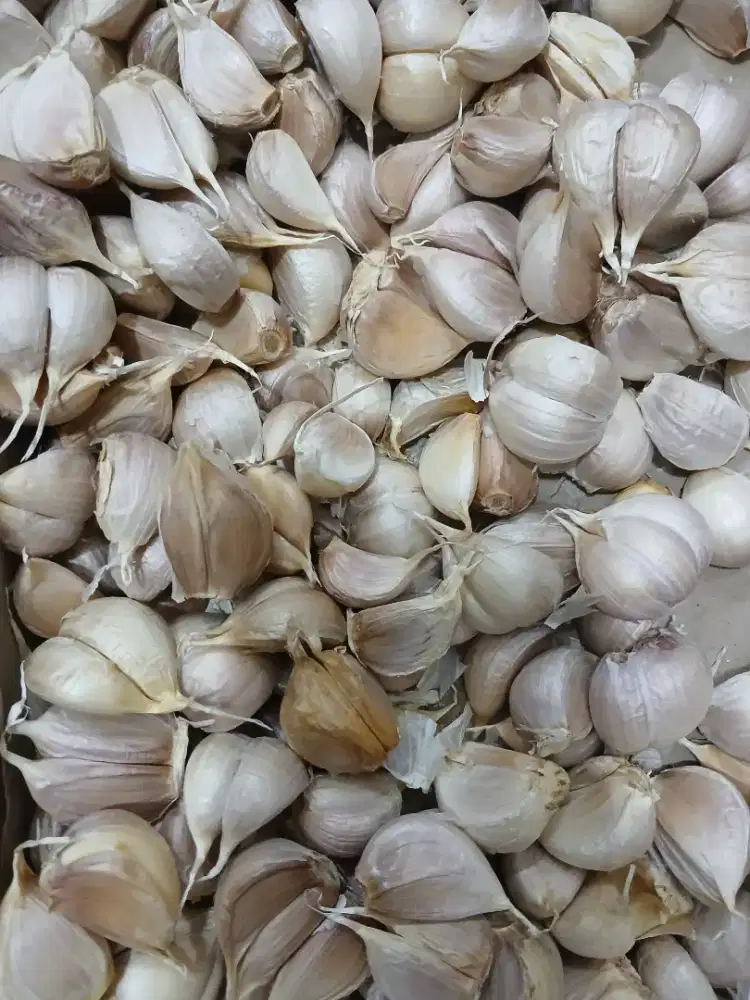 Lowongan kurir warung sayur