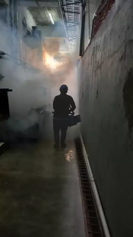Solution pest control