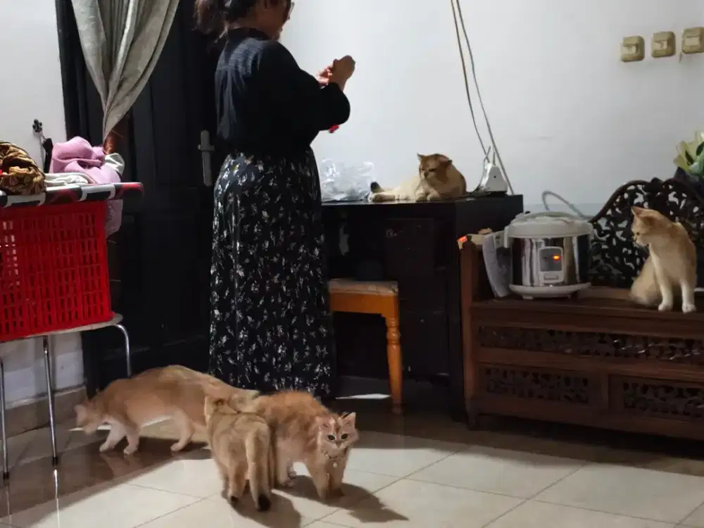 Asisten rumah tangga