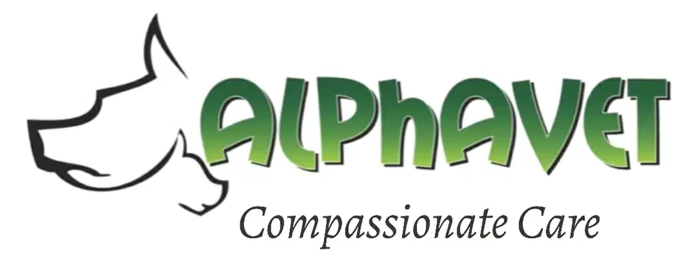 Klinik Hewan Alphavet