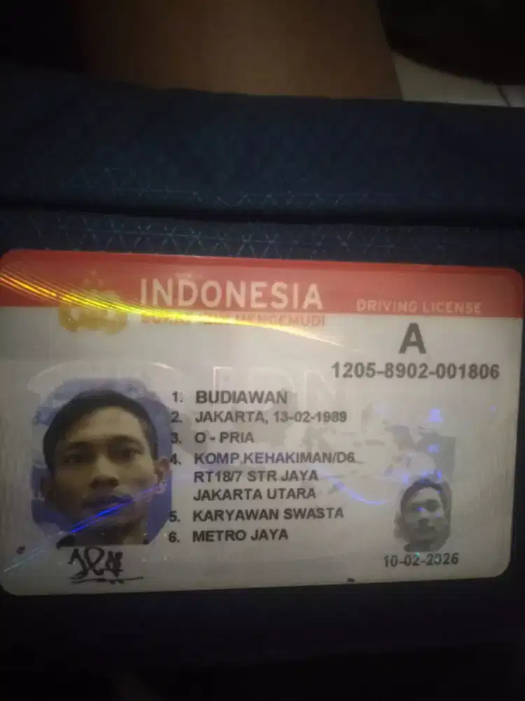 Butuh lowongan apa aja