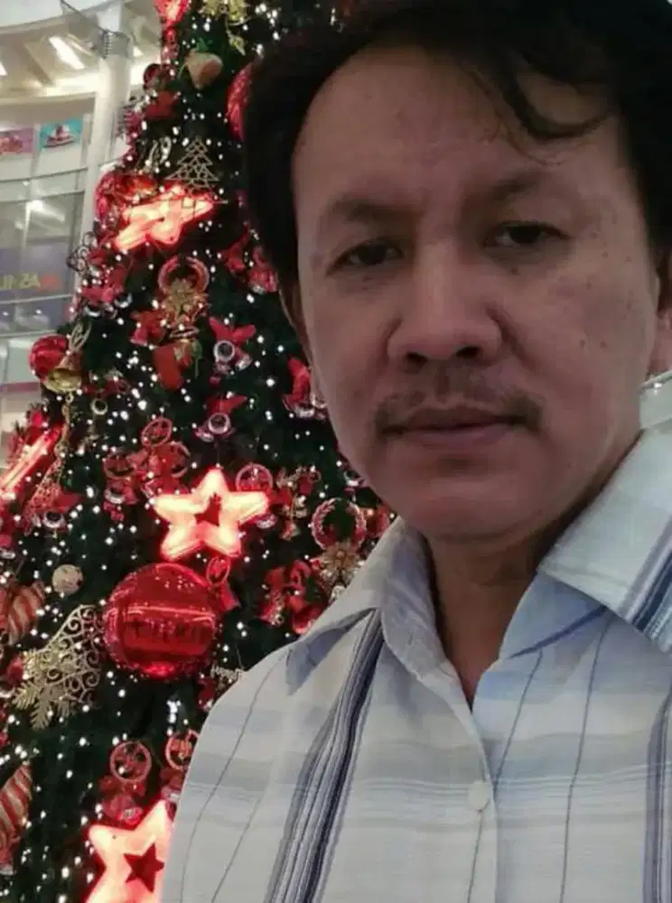 Driver pribadi rumah tangga