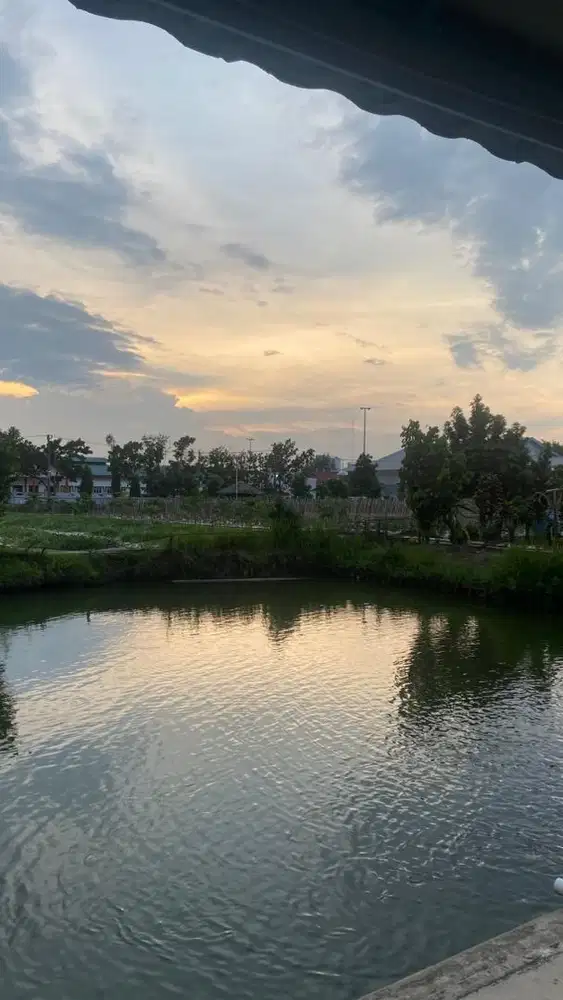 Dicari ART MENGINAP
