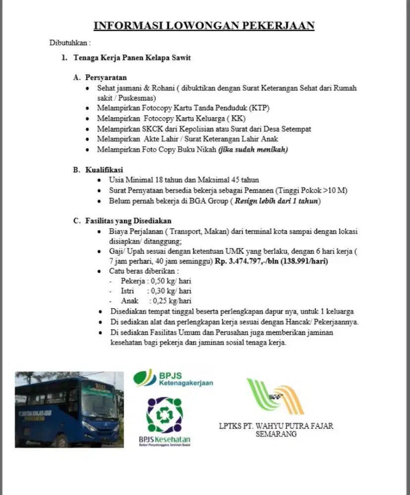Loker perkebunan kelapa sawit bagian perawatan dan pemanen
