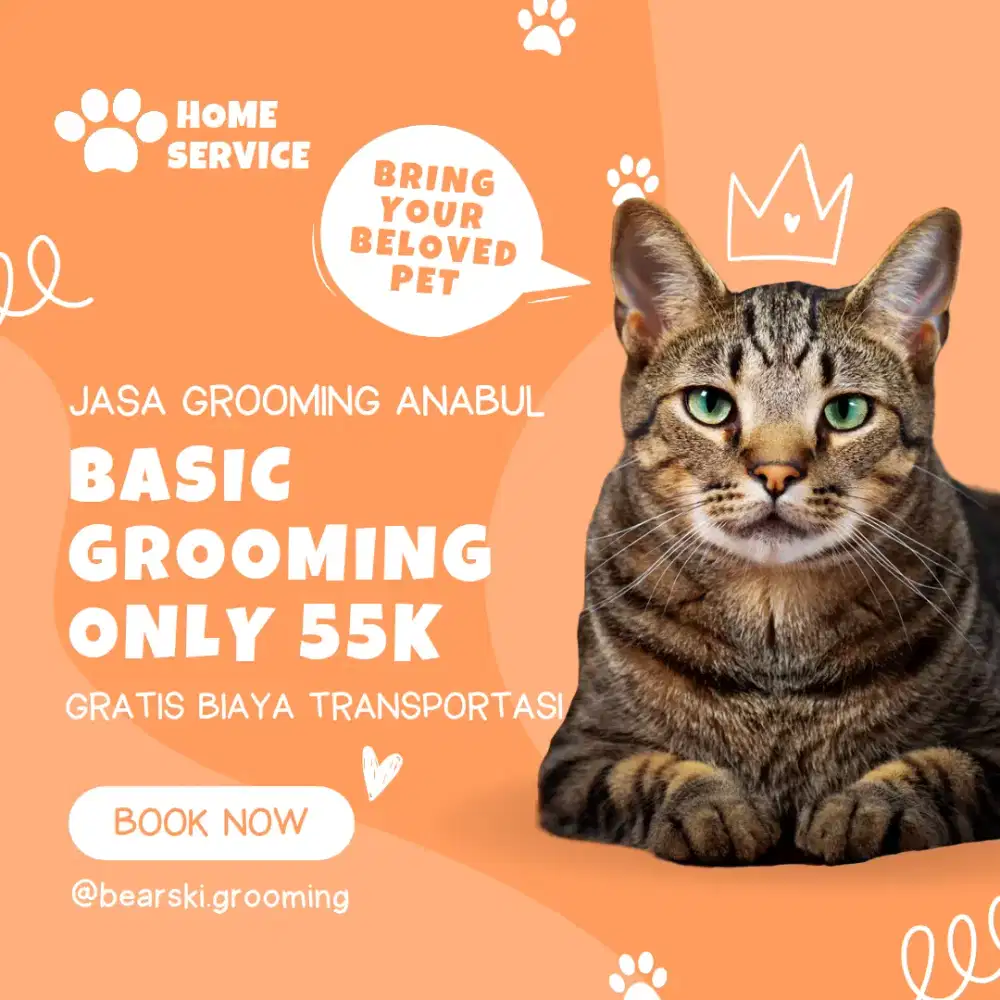 JASA GROOMING MANDI KUCING