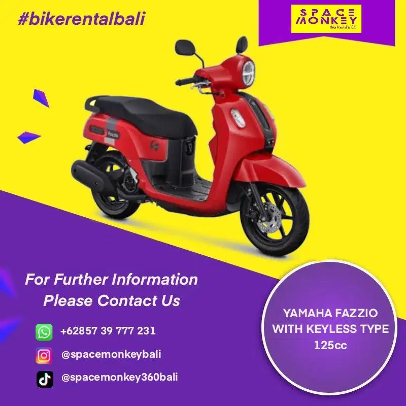 SPACE MONKEY RENTAL 