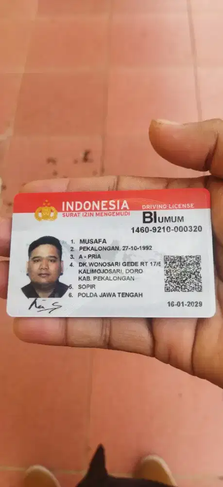 Sedang mencari pekerjaan sopir pribadi atau kantor