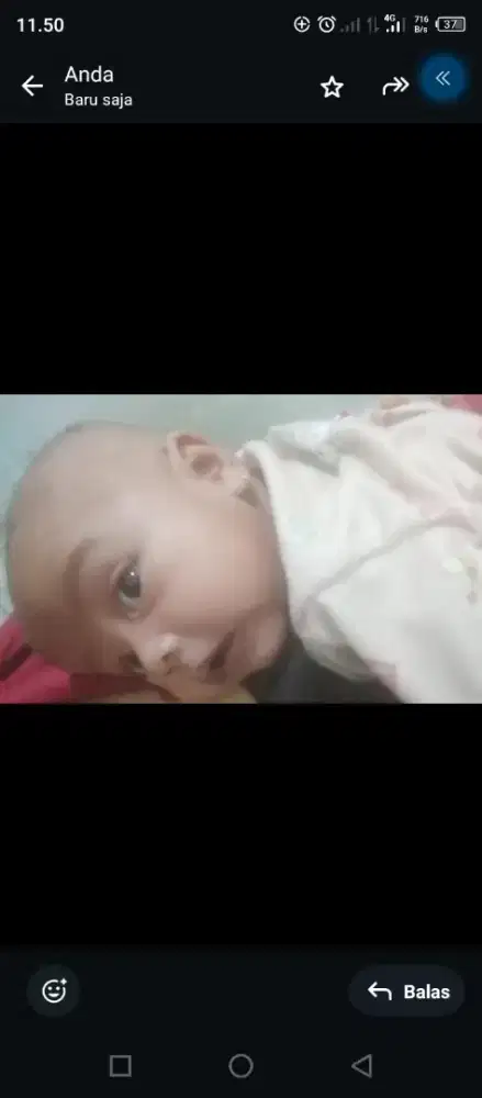 Momong bayi 3 bln