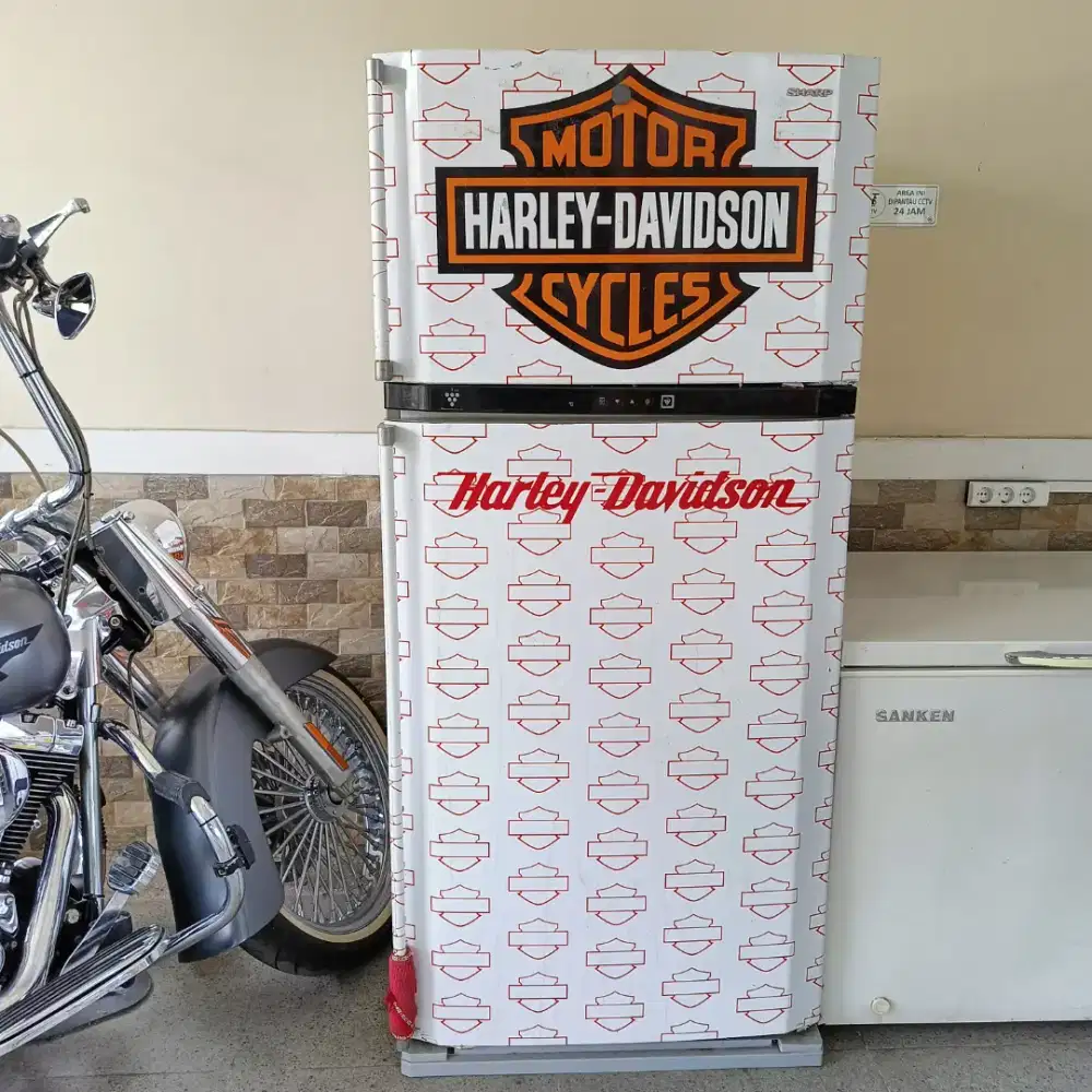 Service Motor Harley