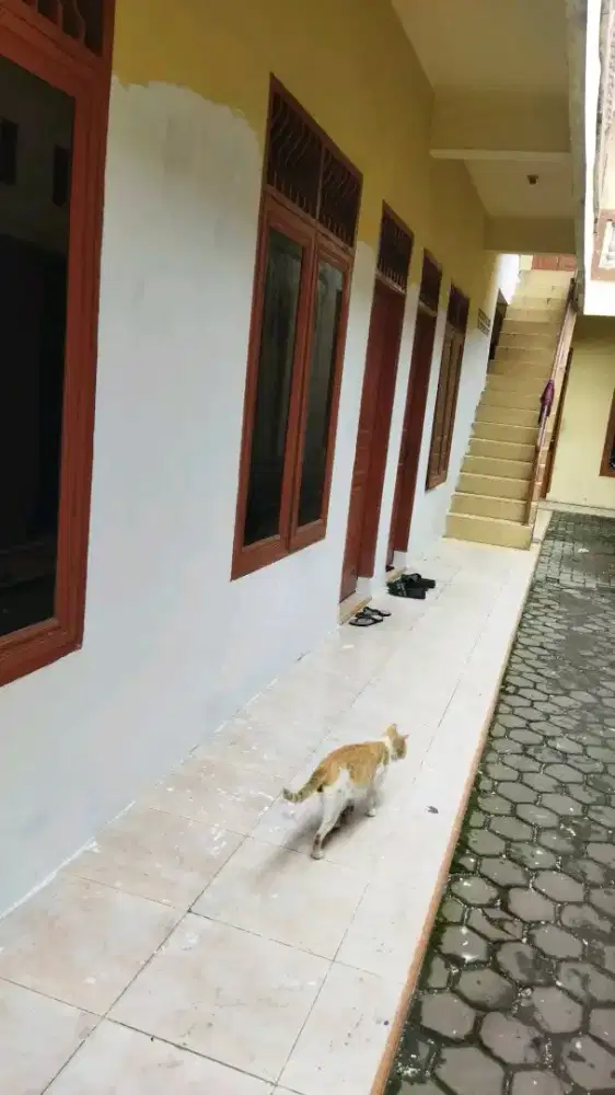 Tukang Cat Bangunan Medan