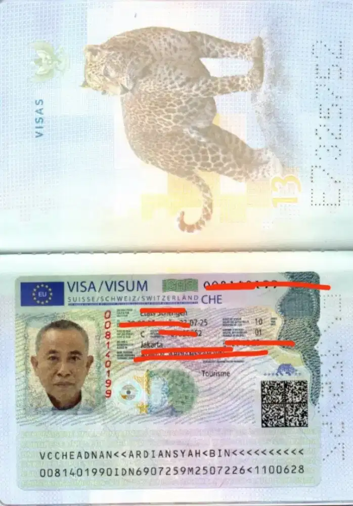 Maul Visa Service