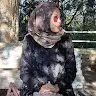 Alfariani Pratiwi