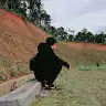 Ikim saputra