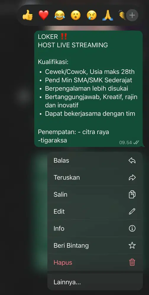 DIBUTUHKAN SEGERA HOST LIVE STREAMING!!