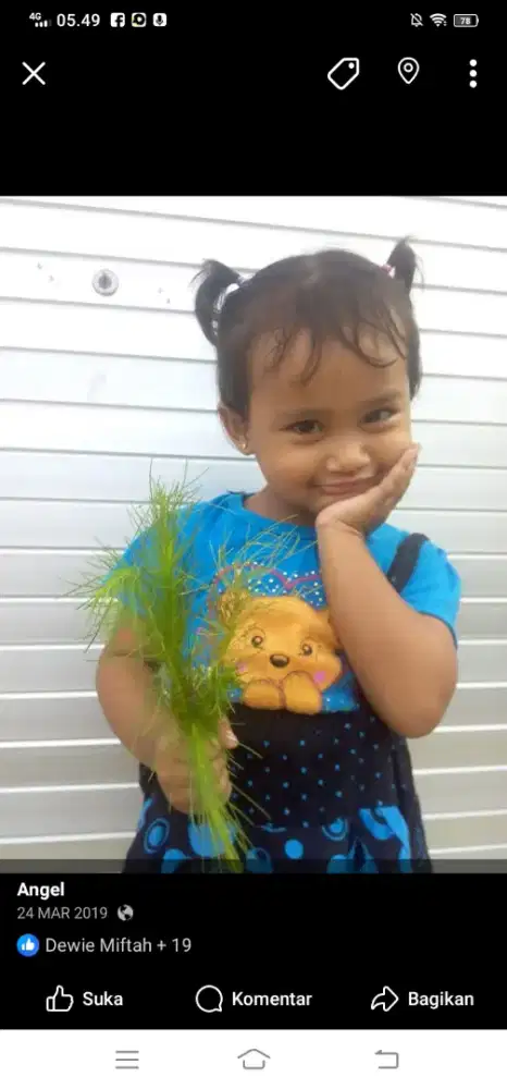 Ingin cari pekerjaan ART plng prgi