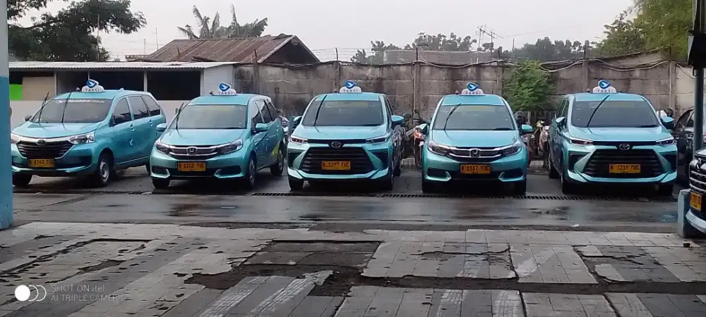 DRIVER taksi Bluebird online