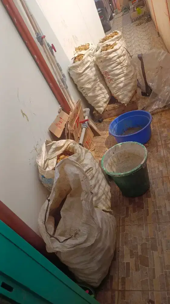 Dicari wanita umur max 30 tahun.