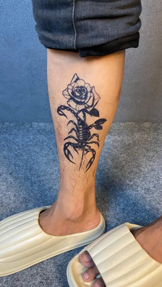 FREELENCE MODEL TATO TEMPORER