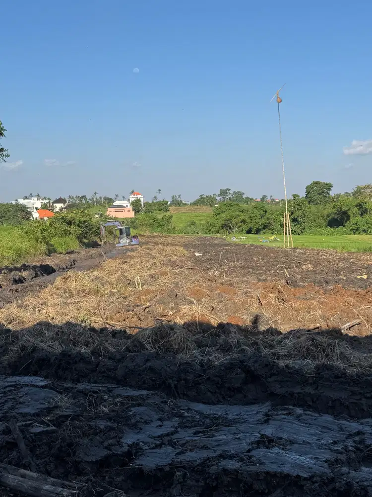 Lowongan pekerjaan untuk berkebun