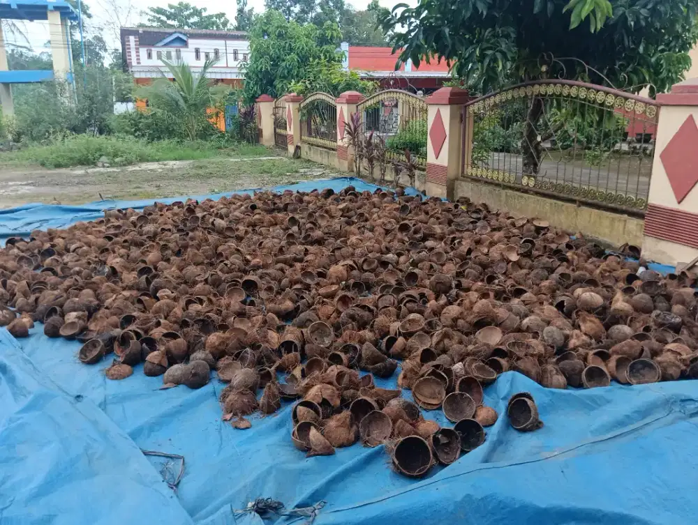 Lowonga kerja pembakaran arang