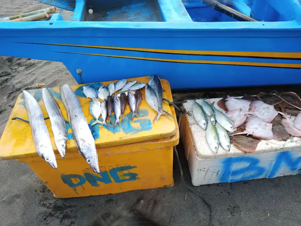 Butuh 2 tenaga kerja buat abk kapal cumi