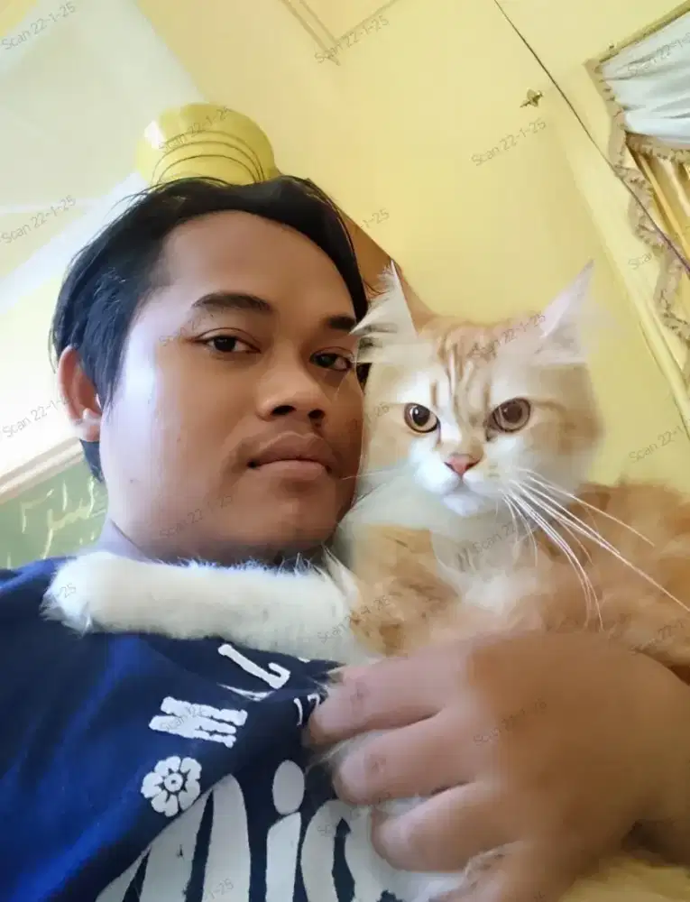 Cari pekerjaan yang halal