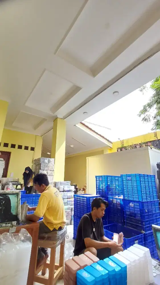 Dibutuhkan lowongan kerja admin & pecking
