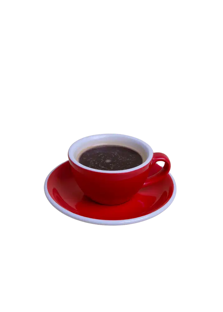 BARISTA ENJOY