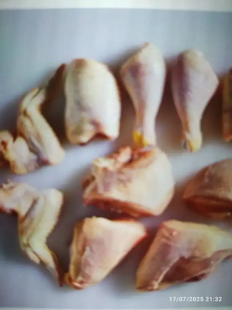 Toko Ayam Segar