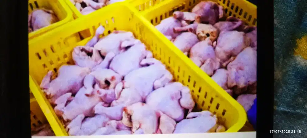 Pegawai Toko Ayam Segar