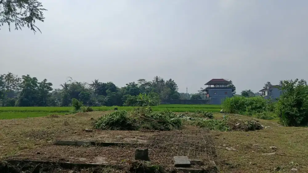 Potong rumput dan tebang pohon