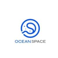 ORGANIZATION DEVELOPMENT STAFF - PT. Ocean Space Group