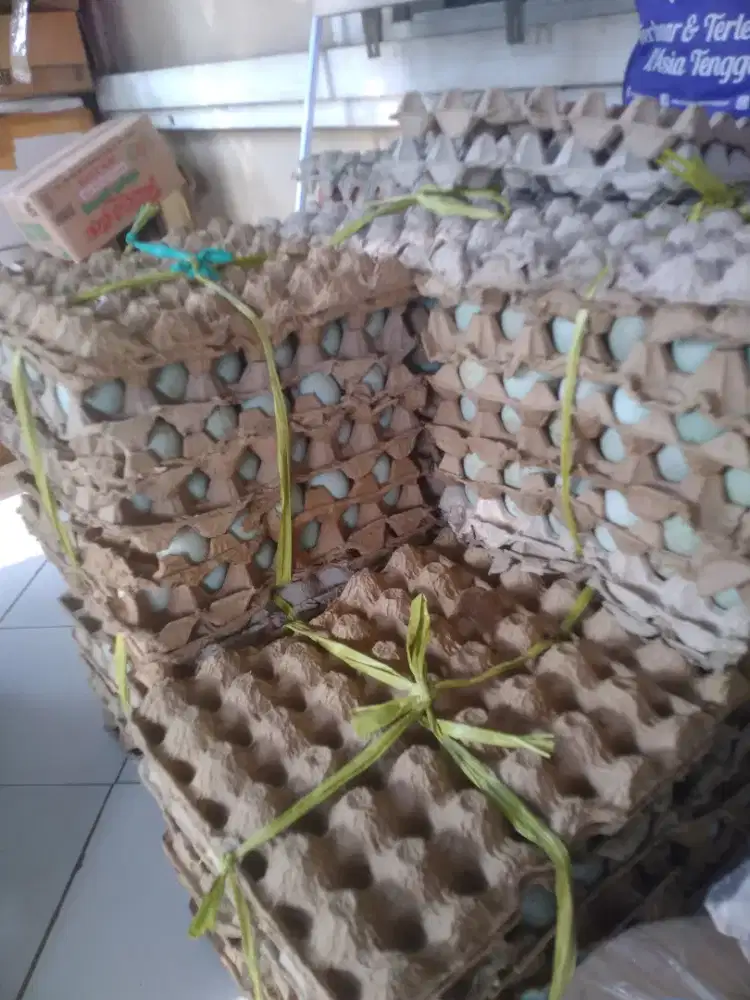 Kurir, packing, kirim, ambil barang