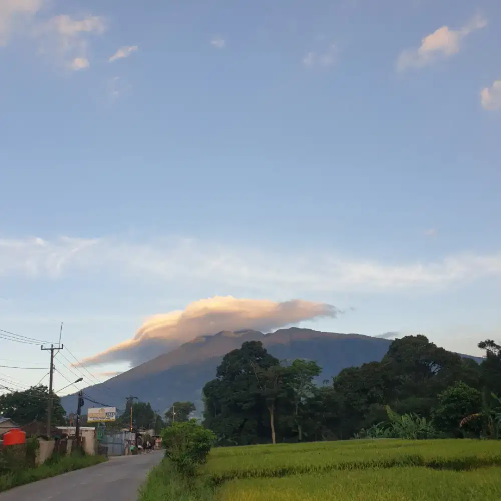 Bismillah cari kerja