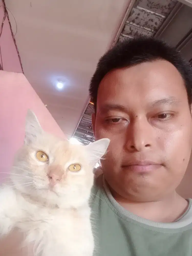 Sedang butuh pekerjaan apa aja