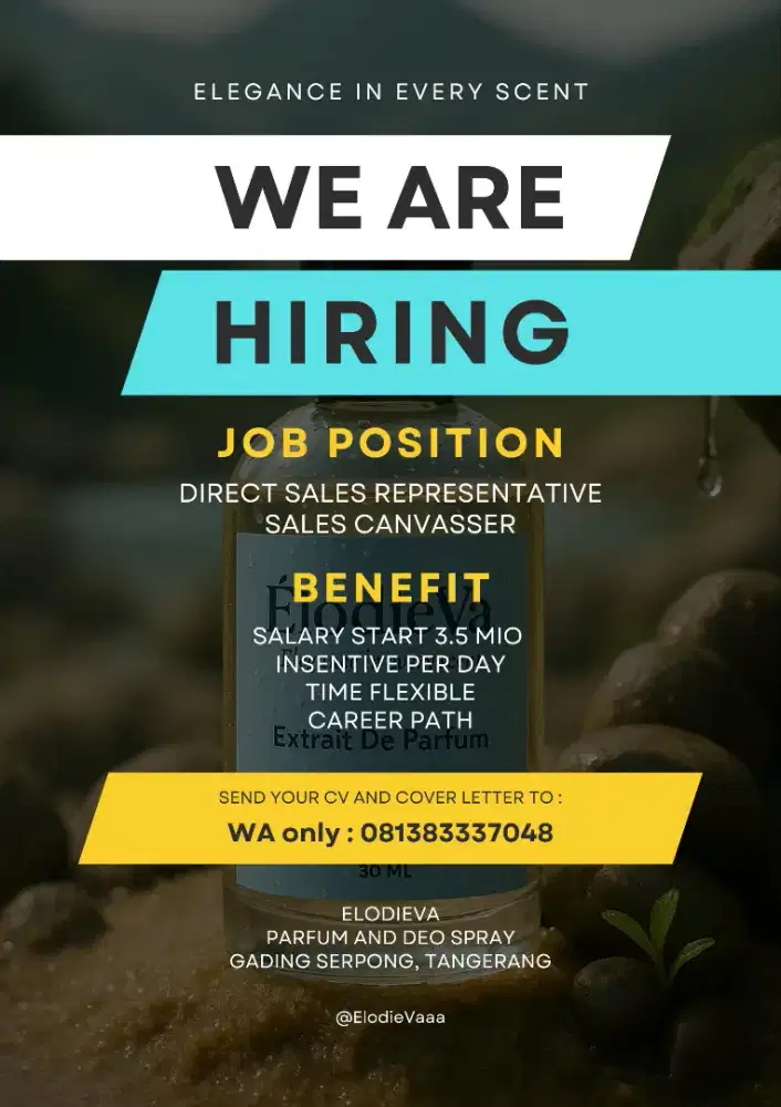 Looking for sales canvaser