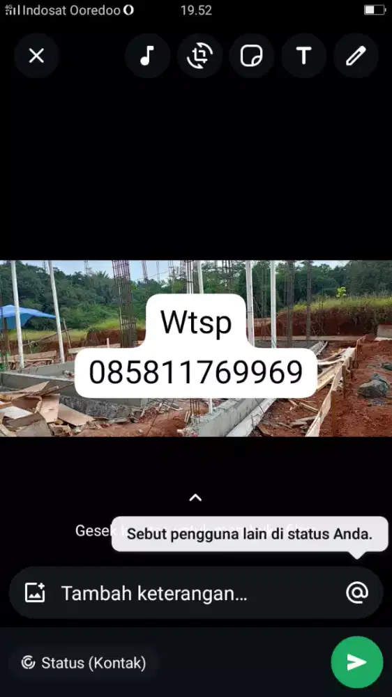 Ardi