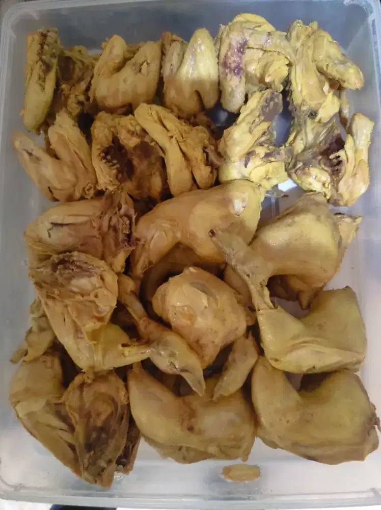 Karyawan ayam bebek buah batu/antapani