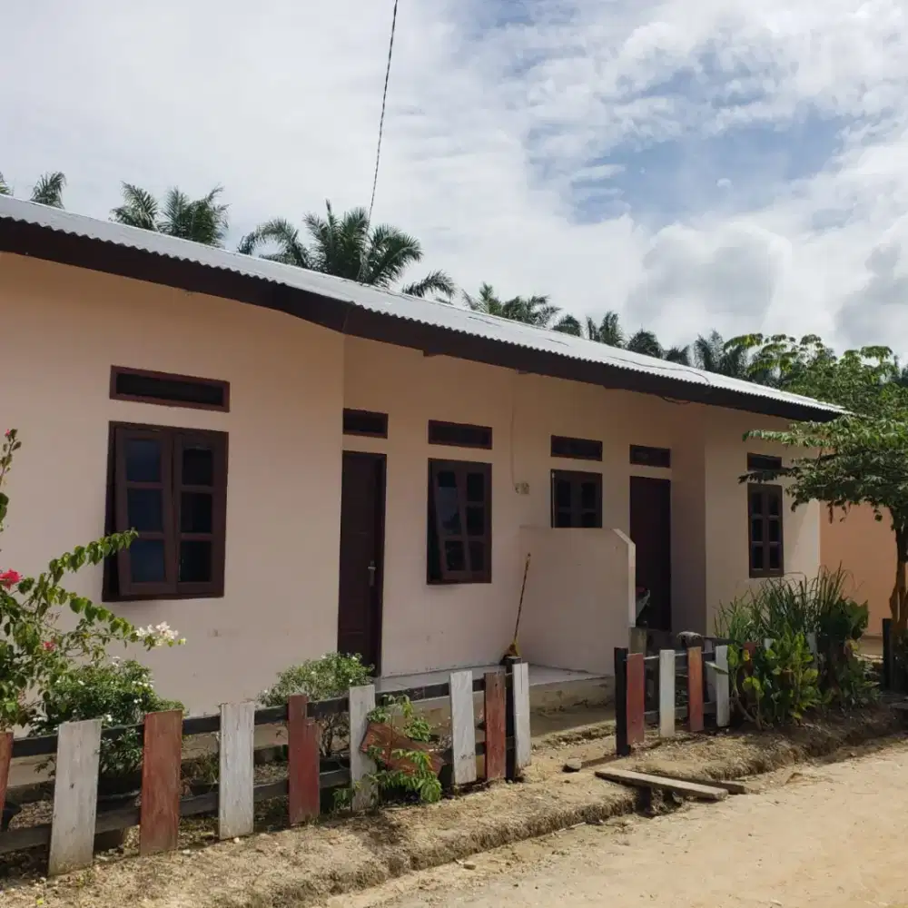 Lowongan Perkebunan Kelapa Sawit Kalimantan