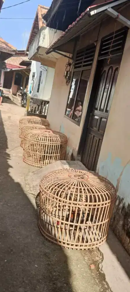 Kandang ayam gesit