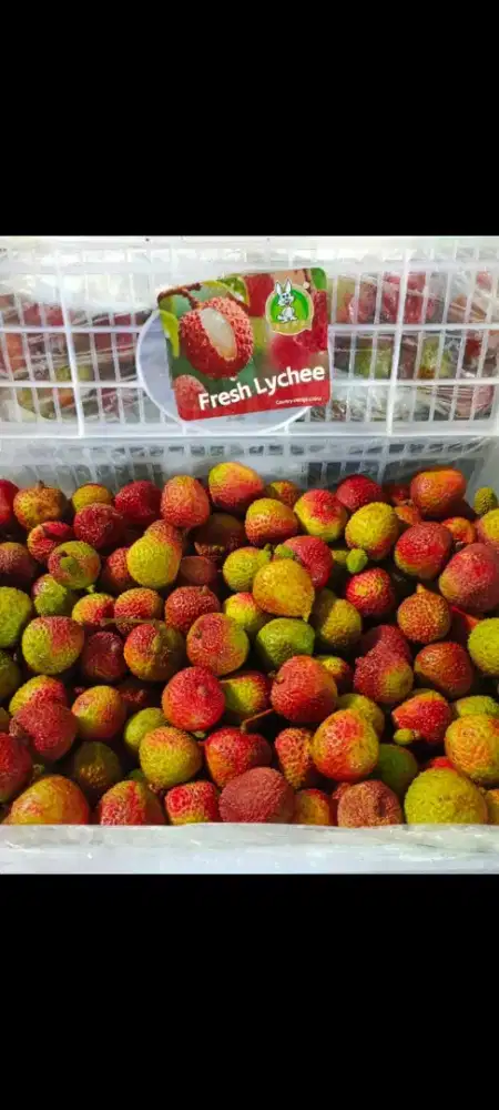Mencari pekerjaan