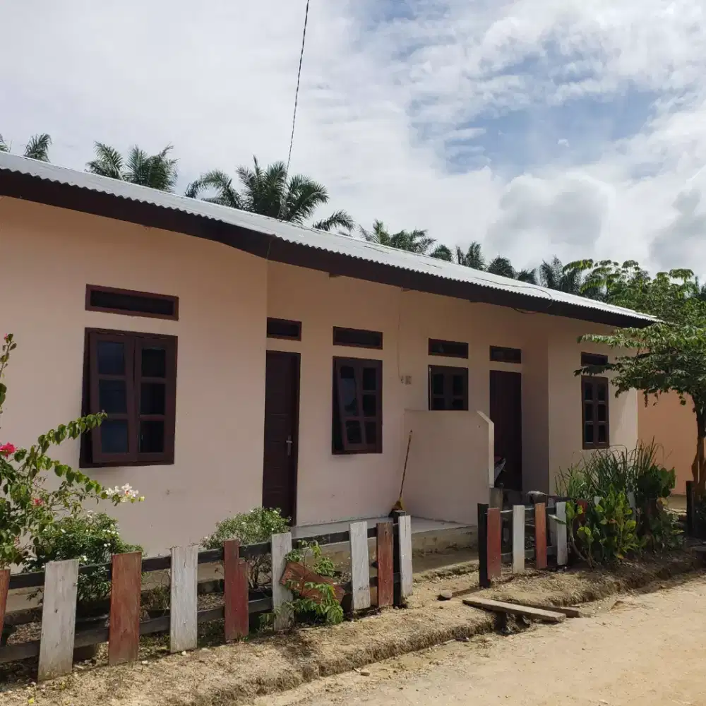 Loker Perkebunan Kelapa Sawit Kalimantan