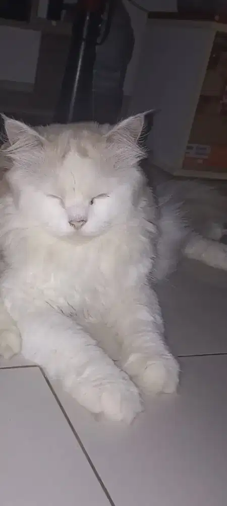 Untuk yg bisa Massage